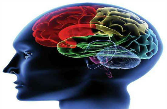 癫痫发作对大脑有多大的危害